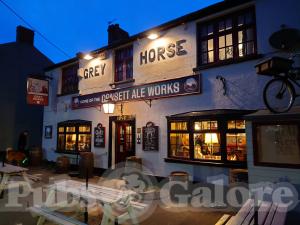 Picture of Grey Horse