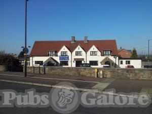 Picture of The Old Crow