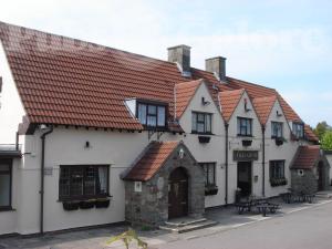 Picture of The Old Crow
