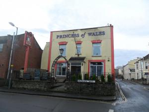 Picture of The Princess Of Wales