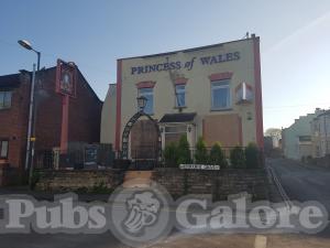 Picture of The Princess Of Wales