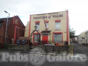 Picture of The Princess Of Wales