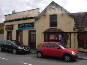 Picture of Station Master