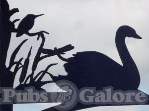 Picture of The Swan