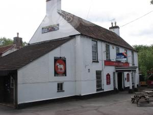 Picture of White Horse