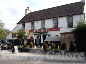 Picture of White Horse