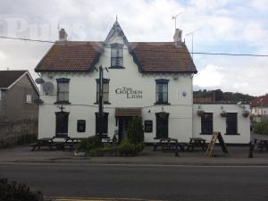 Picture of The Golden Lion