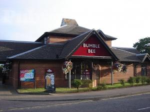 Picture of The Bumble Bee