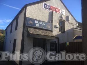 Picture of Black Bull