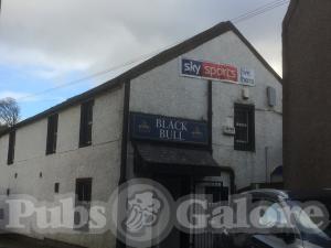 Picture of Black Bull