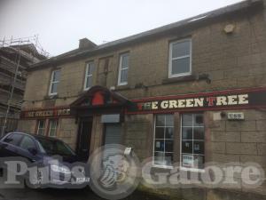 Picture of The Green Tree