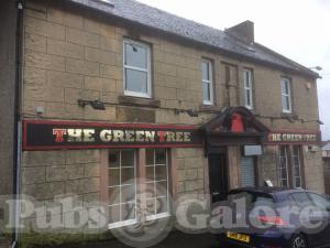 Picture of The Green Tree