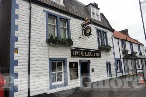 Picture of The Willow Tree