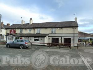 Picture of The White Lion