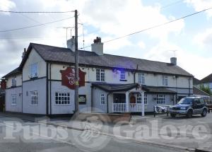 Picture of The White Lion