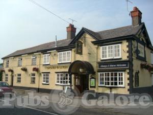 Picture of Crown & Liver