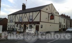 Picture of The Top Monkey