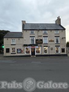 Picture of Cross Foxes