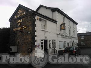 Picture of The Duke Of Wellington