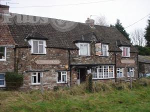 Picture of Druid Arms