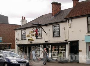 Picture of Red Lion