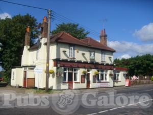 Picture of Old White Horse