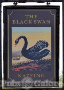 Picture of The Black Swan