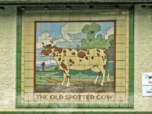 Picture of The Old Spotted Cow