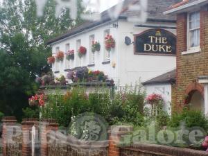 Picture of The Duke