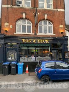Picture of Dog & Duck