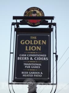 Picture of Golden Lion