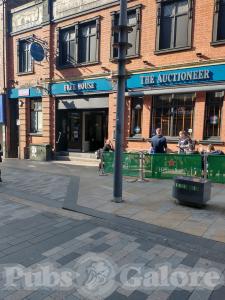 Picture of The Auctioneer