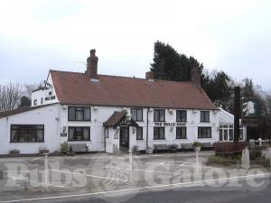 Picture of Bulls Head