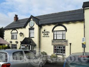 Picture of Royal Oak