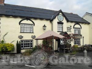Picture of Royal Oak