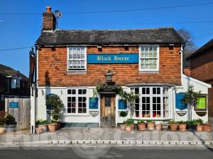 Picture of The Black Horse