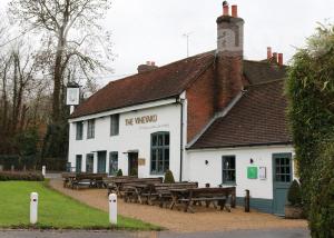 Picture of The Vineyard