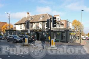 Picture of The Swan