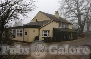 Picture of The Sportsman