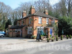 Picture of The Rose & Olive Branch