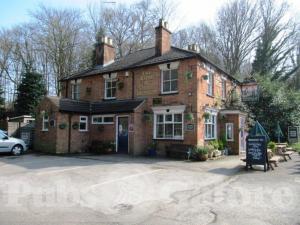 Picture of The Rose & Olive Branch