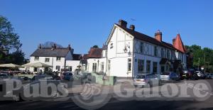 Picture of The Swan