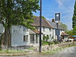 Picture of The White Bear