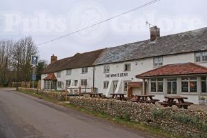 Picture of The White Bear