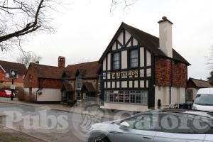 Picture of The White Lion