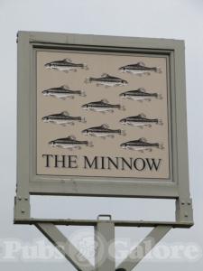 Picture of The Minnow