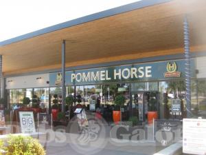Picture of Pommel Horse