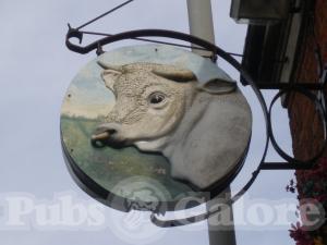 Picture of The White Bull