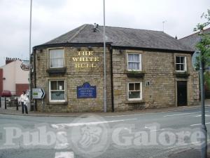 Picture of The White Bull