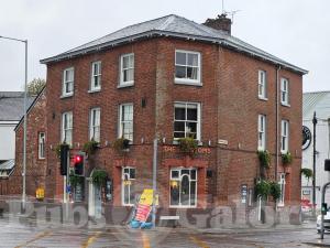 Picture of The Blossoms